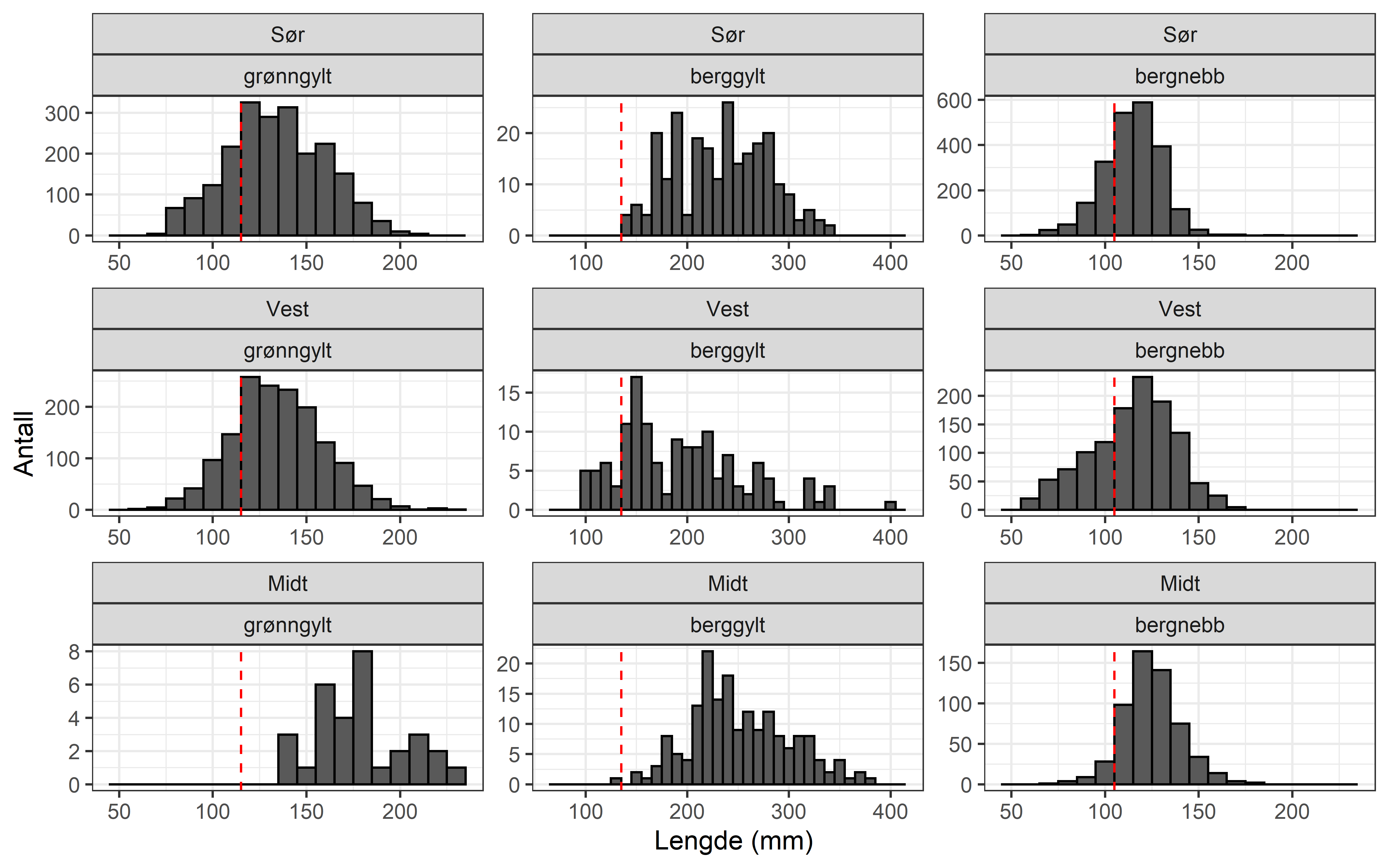 Figur 2: Lengdefordeling for grønngylt, berggylt og bergnebb i fangstene til referansefiskerne 2021. NB – ulike skalaer på x- og y-akser.