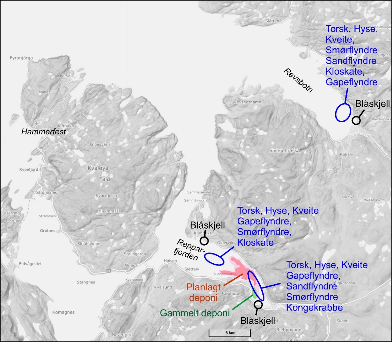 Kart viser fangstområdene for blåskjell og fisk i Revsbotn og i Indre og Midt Repparfjord, samt gammelt og planlagt deponiområde. 