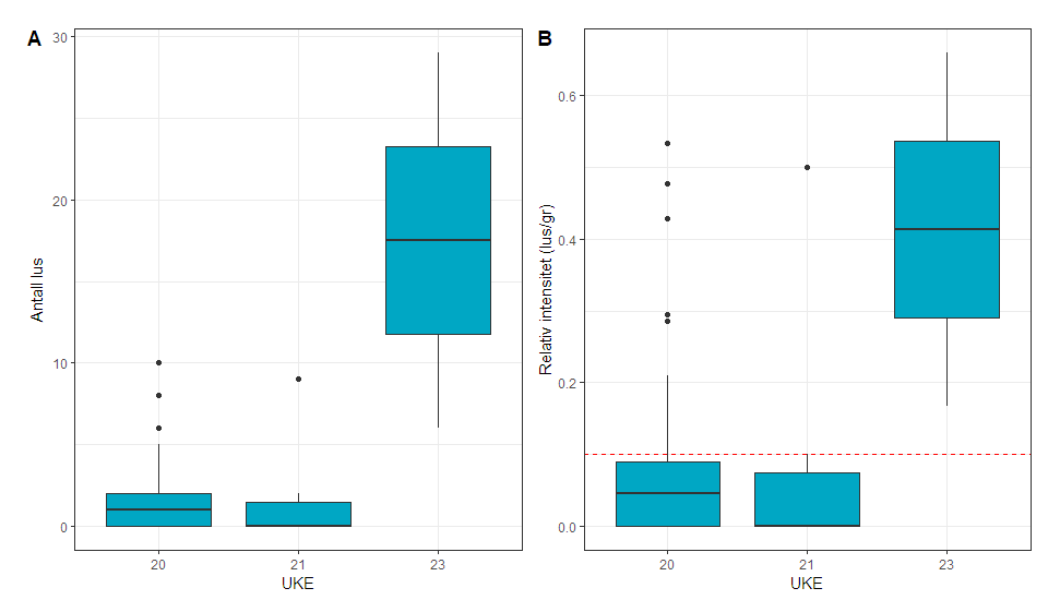 Figur 23. Antall lakselus (A) og relativt antall lus (B) på trålfanget postsmolt laks fra Romsdalsfjorden i uke 20-23. 