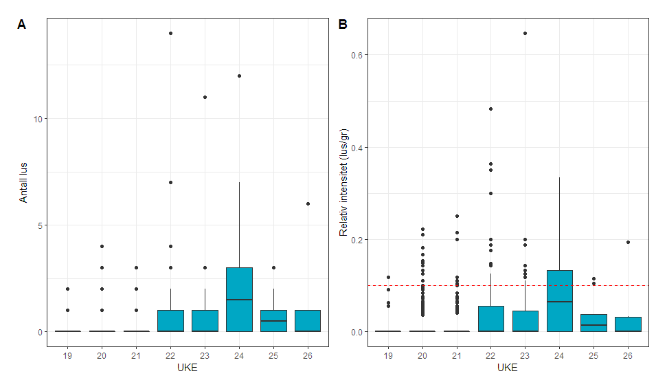 Figur 27. Antall lakselus (A) og relativt antall lus (B) på trålfanget postsmolt laks fra Trondheimsfjorden i uke 19-26. 