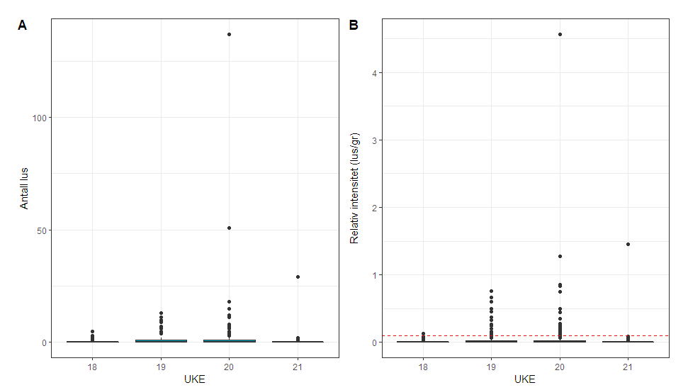 Figur 8. Antall lakselus (A) og relativt antall lus (antall lus/gram kroppsvekt) (B) fra postsmolt laks i uke 18-21 i Boknafjorden i Rogaland.