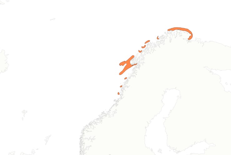NEA torsk gyter langs kysten av Finnmark, rundt Lofoten og enkelte plasser langs kysten ned mot Trøndelag