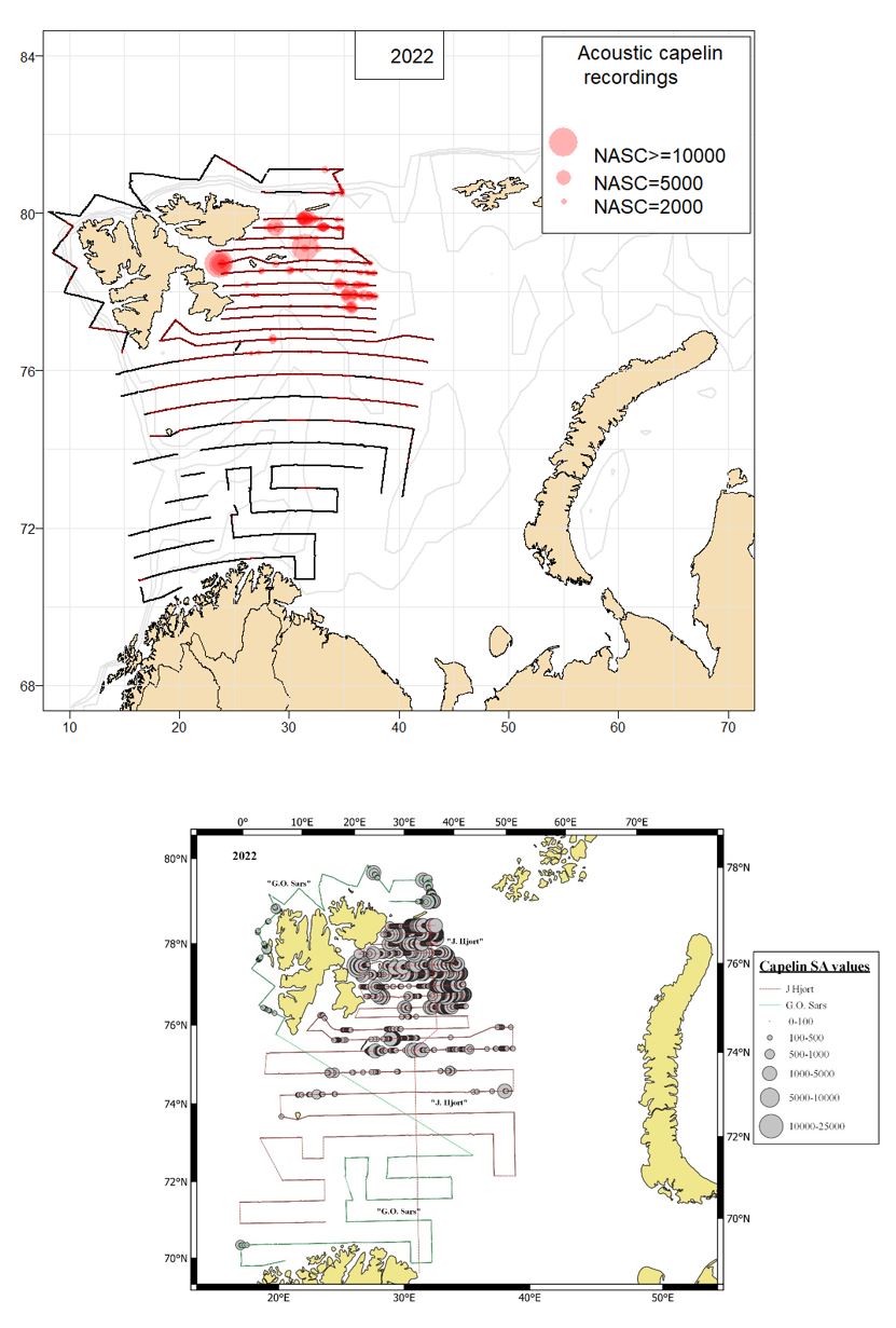 Survey coverage and geographical distribution of acoustic abundance of capelin in autumn 2022, using two different options for scaling of the circles indicating acoustic abundance. 