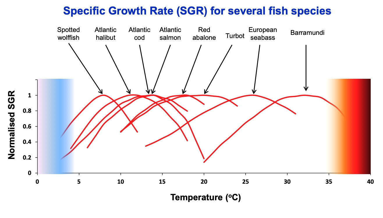 Laboratoriemålte verdier av spesifikk veksthastighet som funksjon av temperatur for 8 fiskearter fra tropiske til arktisk-boreale.