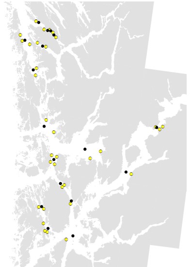 Figur 4. Overvåkingsstasjoner i sediment (svart sirkel) og oppdrettslokaliteter (gul sirkel). Overvåkingsstasjoner ligger i fjernsonen til oppdrettslokalitetene > 1000 m avstand.