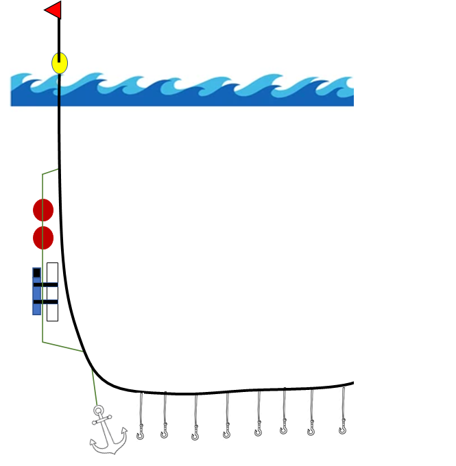 Figur 2. Skjematisk tegning av strømmåler på iletauet. 