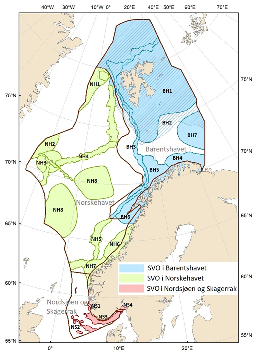 Figur 1 . Kartet viser de tre forvaltningsplanområdene (heltrukken brun linje; Barentshavet, Norskehavet og Nordsjøen) samt de 19 foreslåtte SVO-ene fra Eriksen mfl. 2021, som risikovurderingene er gjennomført for. Sju SVO-er ligger i Barentshavet (BH1–-BH7), åtte i Norskehavet (NH1–-NH8) og fire i Nordsjøen og Skagerrak (NS1–-NS4).