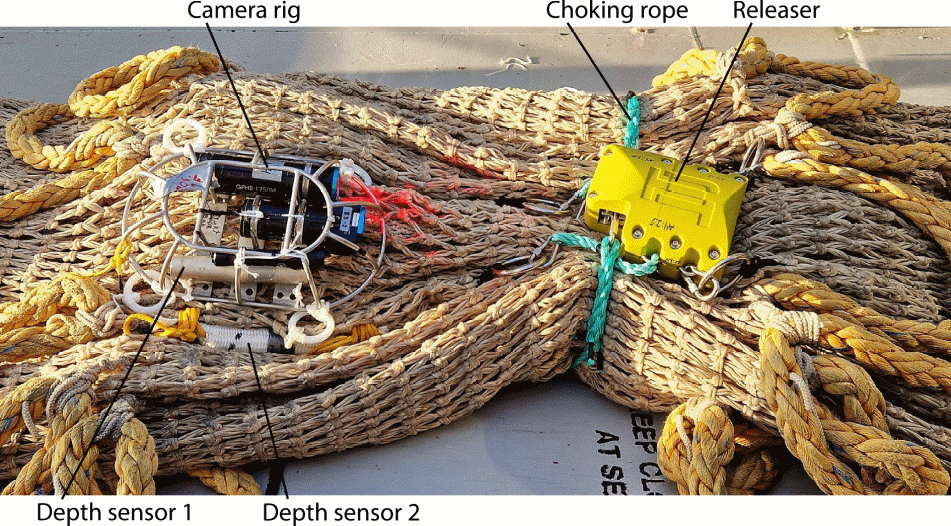 Figure 5.2: Haul A01, depth triggered cod-end choking unit (CCU) with a choking rope set at the 25m (~200t) position. Also shown is the camera and depth sensor assembly, in a protective steel frame, for monitoring the release depth of the CCU [Source: Ingolfsson et al, 2022].