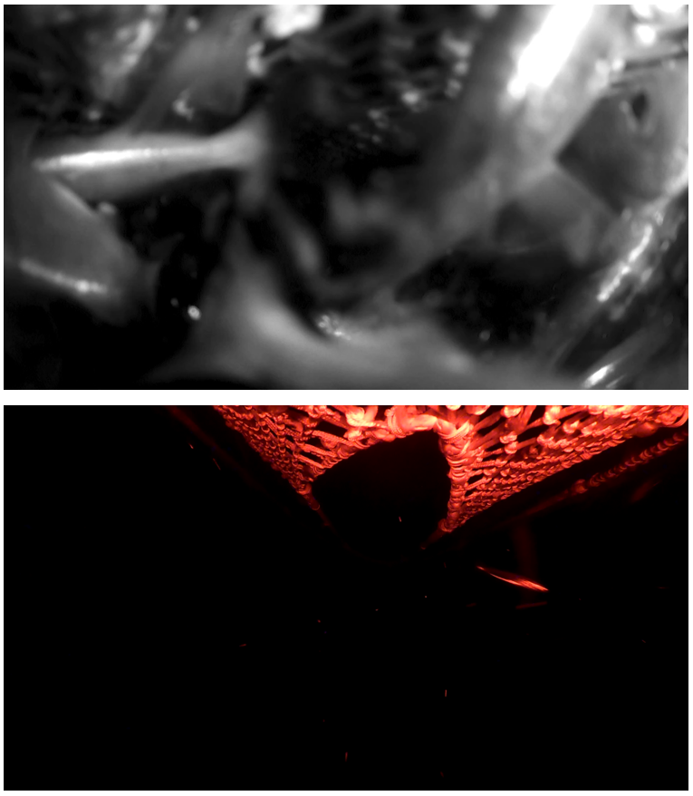 Figure 3.4 – Images from video taken during haul 05 at 21:19, approximately 1 hour before the start of haul-back at 22:24.  Top: from position 5iB looking aft toward the fish-lock and cod-end, showing high densities of fish in the top of the FRS.  Bottom from position 2oF, looking forward below the escape opening, with relatively few fish escaping, despite the high densities above.  Note – the escape rate at this time was approximately 38 fish/minute [21:19-21:20].  