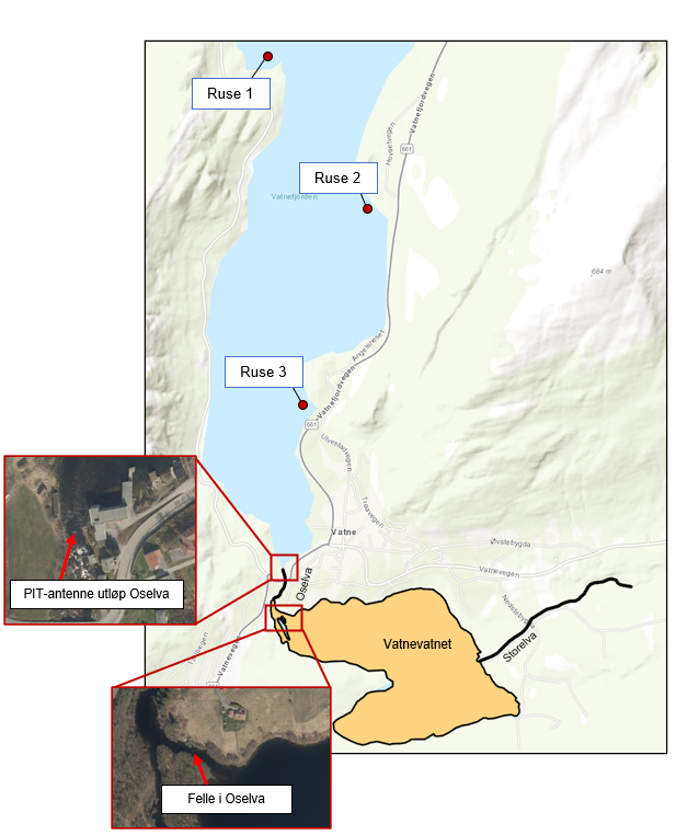 Kart over ruser, antenner og feller i Vatnefjorden i 2022