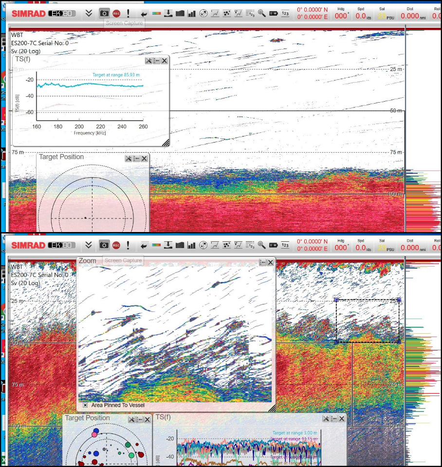 Figure 27. Example echograms of pole-mounted ES200-7C transducer projecting sideways at ~30 tilt towards herring layer/school (echogram extent 150 m range sideways). Upper panel: fish at 80 m range are not resolved as single targets. Bottom panel: fish is resolved as single targets on the outskirts of the schools at 25-50 m range.