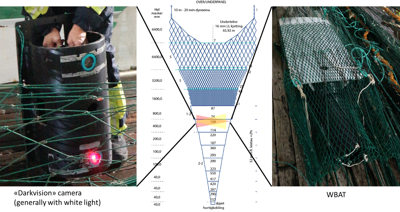 Figure 5. Dark vision camera (Left) and WBAT placement in VITO trawl. Trawl diagram at centre indicates view from above.
