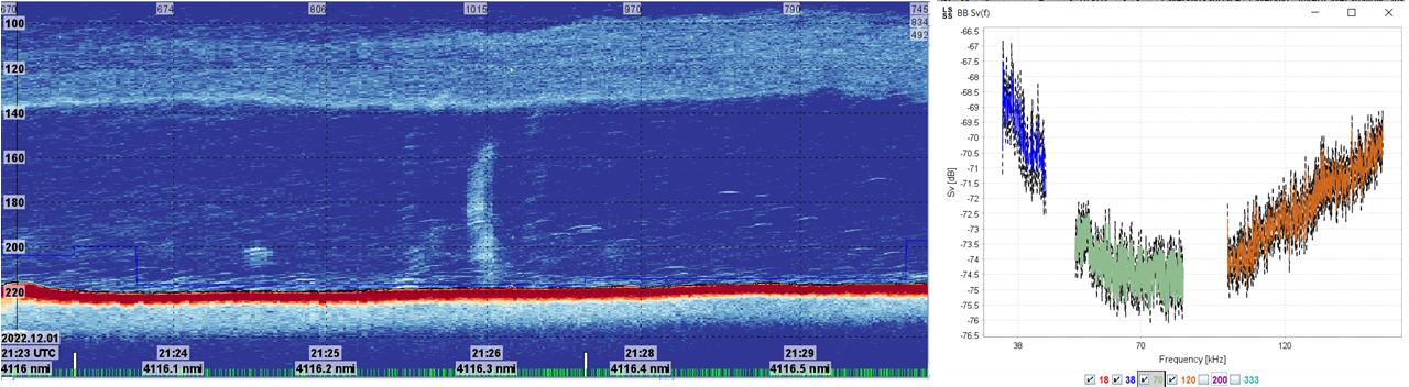 Figure 37. Node 7 methane seep and broadband frequency response (38, 70, 120).
