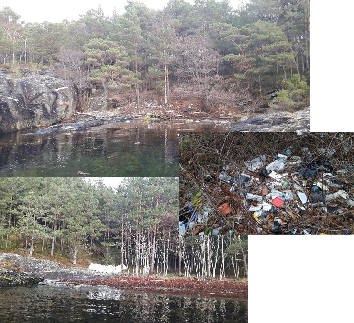 Figur 2. Strand-rydding har vist at det finnes mye plast og annet søppel på strender i området som sannsynlig har hopet seg opp over lang tid (Foto BE Grøsvik, Havforskningsinstituttet). 