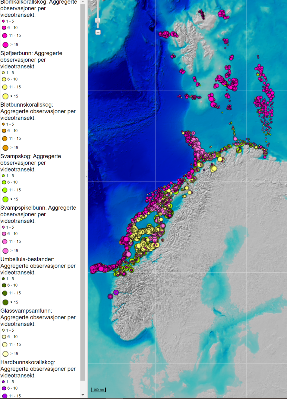Utbredelsen av sårbare arter (koraller, svamper, sjøfjær) i Barentshavet og Norskehavet kartlagt av MAREANO.