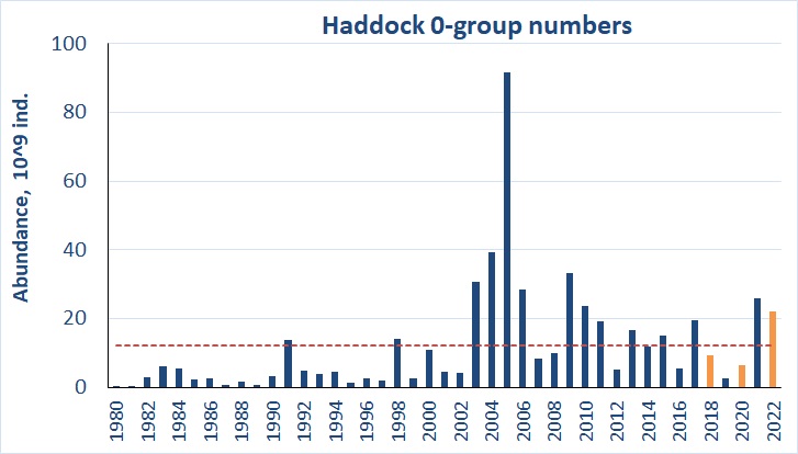 Ch 6 0-group haddock abundance 2022