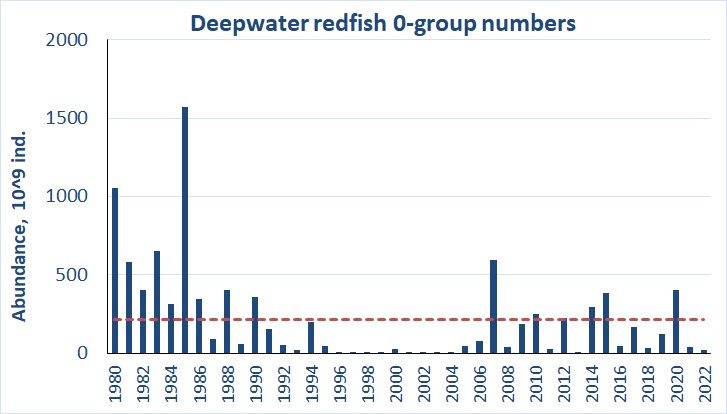 Ch 6 0-group redfish abundance estimate 2022
