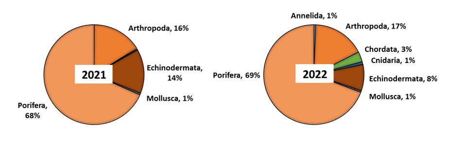 Megabenthos biomass distributed across main groups