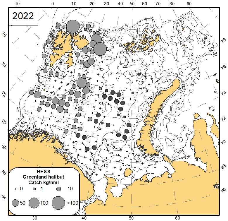 Fig 8.4 Distribution of greenland halibut