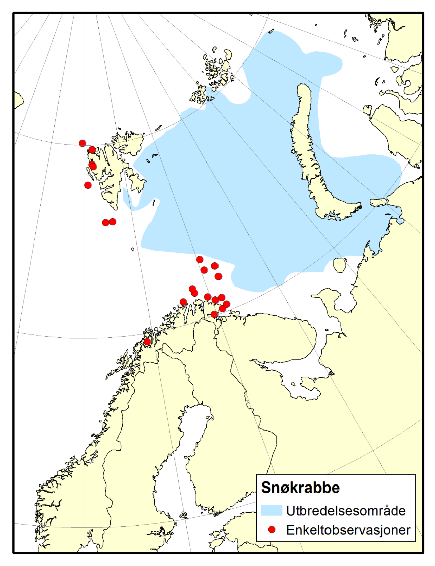 Figur 4.1.4.9 Status for sammenhengende utbredelse av snøkrabbe i Barentshavet og Karahavet, med enkeltobservasjoner utenfor utbredelsesområdet Kilde: Havforskningsinstituttet.