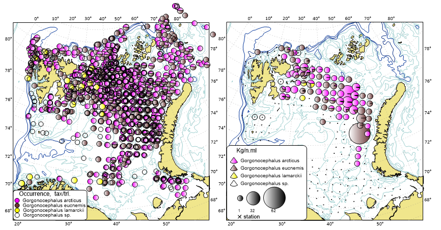 4.1.4.8 Forekomst av slangestjerner av slekten Gorgonocephalus (Medusahode) i Barentshavet i henhold til Økosystemtoktet 2005–2020 (venstre) og deres biomassefordeling (kg/nm) i 2021 (høyre). De svarte punktene angir stasjonsdekning, hvor nordrussisk sone og det sentrale Barentshavet mangler i 2021. Kilde: WGIBAR, ICES (2022).