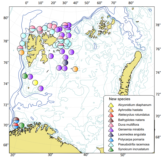 Figur 4.1.4.2 Store bunnlevende dyrearter registrert for første gang i 2021 i Barentshavet og nærliggende farvann siden Økosystemtoktet startet i 2005. Kilde: ICES (2022d).