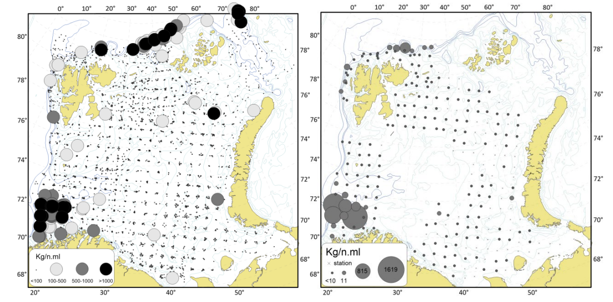 Figur 4.1.4.4 Fordeling av svamper i Barentshavet i henhold til Økosystemtoktet 2005-2020 (venstre) og i 2021 (høyre). De sorte punktere angir stasjonsdekning, og viser at stasjoner nord i russisk sone og det sentrale Barentshavet manglet i 2021. Kilde: ICES (2022d)