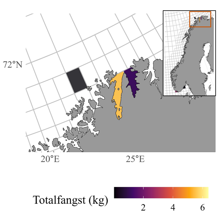 Kart over Nord-Norge som viser hvilke lokasjoner teinelandinger av reke er registrert, samlet for alle årene 2015-2022. Det er først og fremst registrert reketeinelandinger fra Laksefjorden og Porsangerfjorden, det aller meste i Porsangerfjorden. Noe er også registrert i en lokasjon nord for Sørøya.
