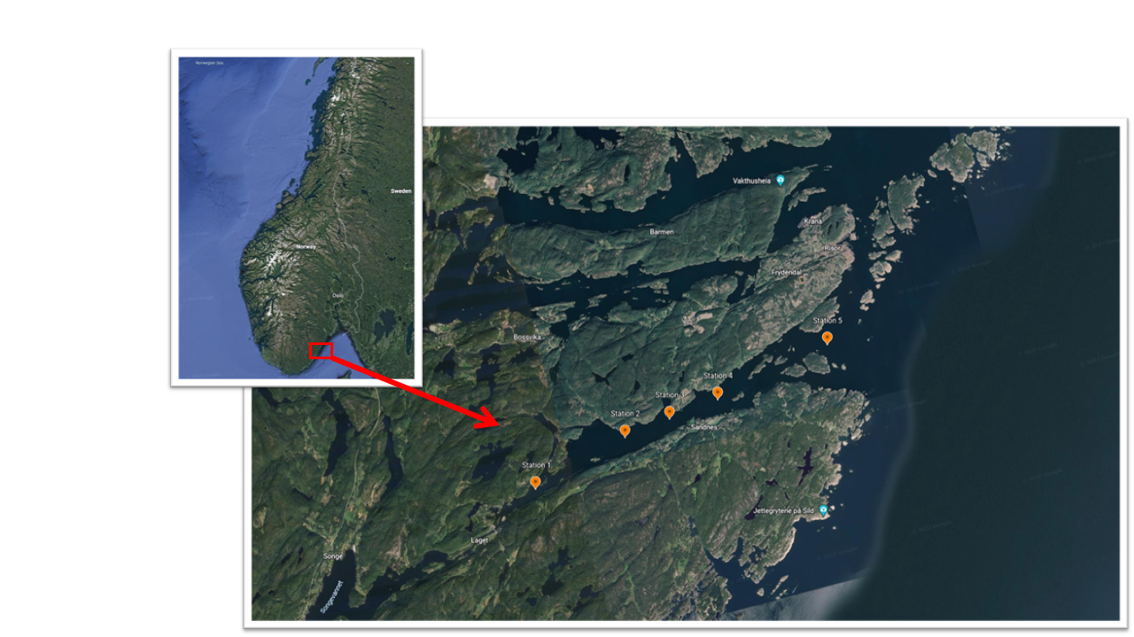 . Position of the 5 stations sampled along the inner outer axis of the Sandnesfjord.
