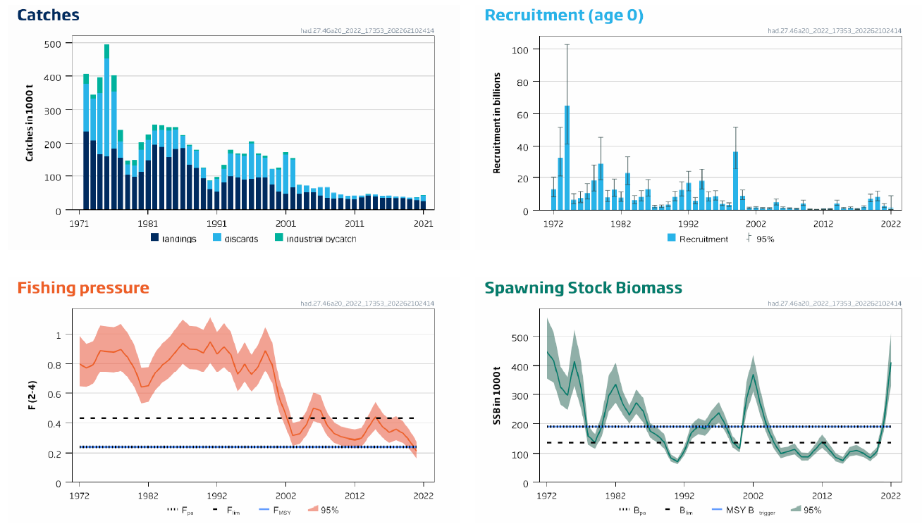 Figure D.1.4. Haddock in Subarea 4, Division 6.a, and Subdivision 20. Summary of the stock assessment. The assumed recruitment value for 2022 is shaded in a lighter colour. Discards include BMS landings. From (ICES, 2021d).