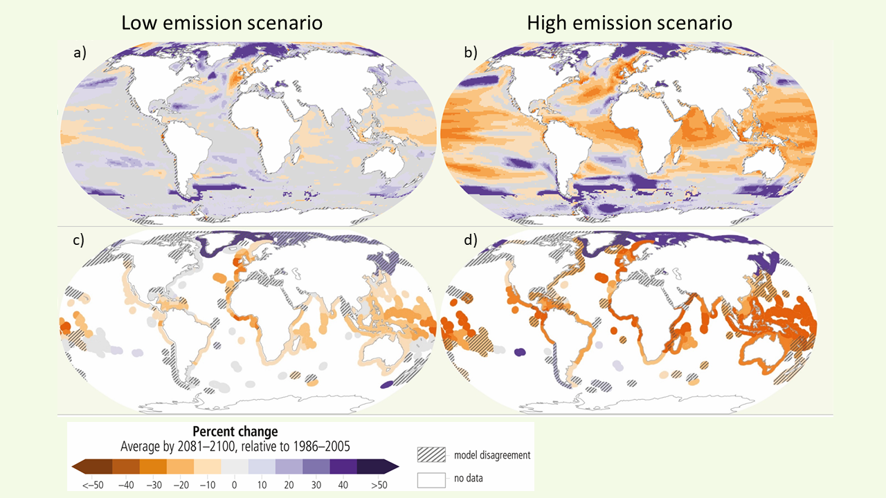 4 maps of the earths oceans from IPCC. Colors show enormous difference between a high and a low emission scenario both regarding total animal biomass and maximum fisheries catch potential. In the high emission scenario production increase sonly at high latitudes,  most of the map area shows decreases of 20-30 %.