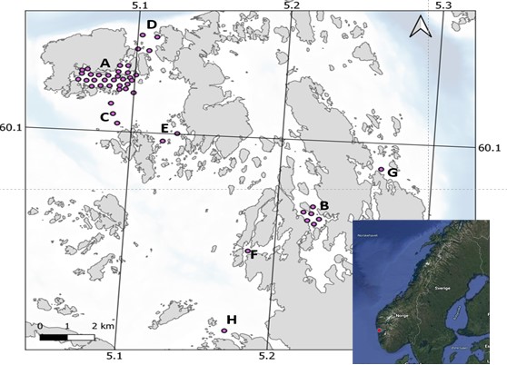 Figure 1. A total of 36 acoustic telemetry receivers in two grids in the Austevoll archipelago; in Bakkasund spawning area (A), a smaller grid in Osen spawning area (B), as curtains to control the western (C), northern (D) and southern (E) gateway from the main area as well as 3 additional spawning sites in the area (F, G, H). A total of 80, 77 and 50 cod were tagged in the years 2020;21 and 22, respectively. Additional details can be found in McQueen et al. (2022).  