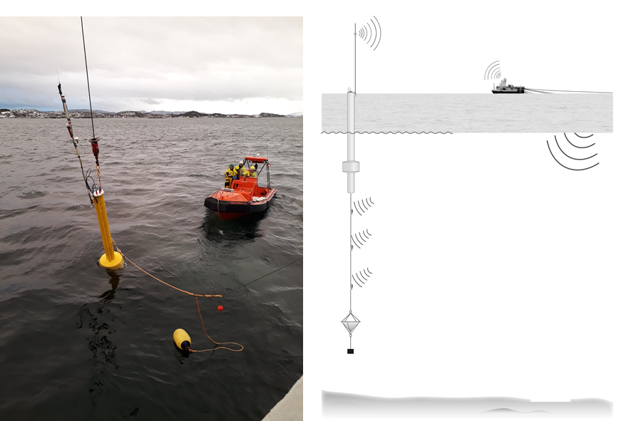 Figure 5. The hydrophone vertical array. Left: The surface part of the array visible above sea level. The array was towed by the HUS workboat into position and moored to the bottom with heavy weights. Right: figure of how it looks when deployed. The figure shows 3 hydrophones at different depths, but in the current setting only two were used and the array was not drifting but fixed at one position. 
