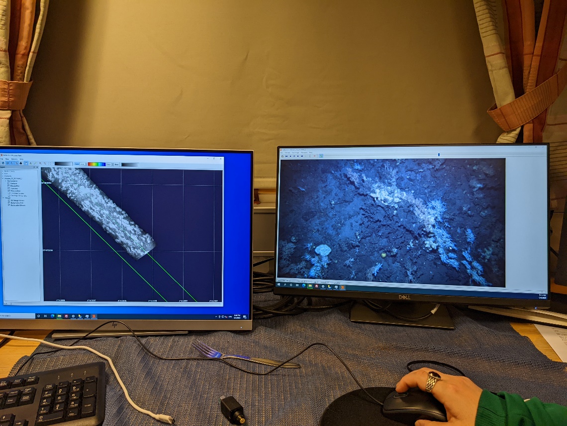 Photo of two screens showing a photomosaic and a reef photo