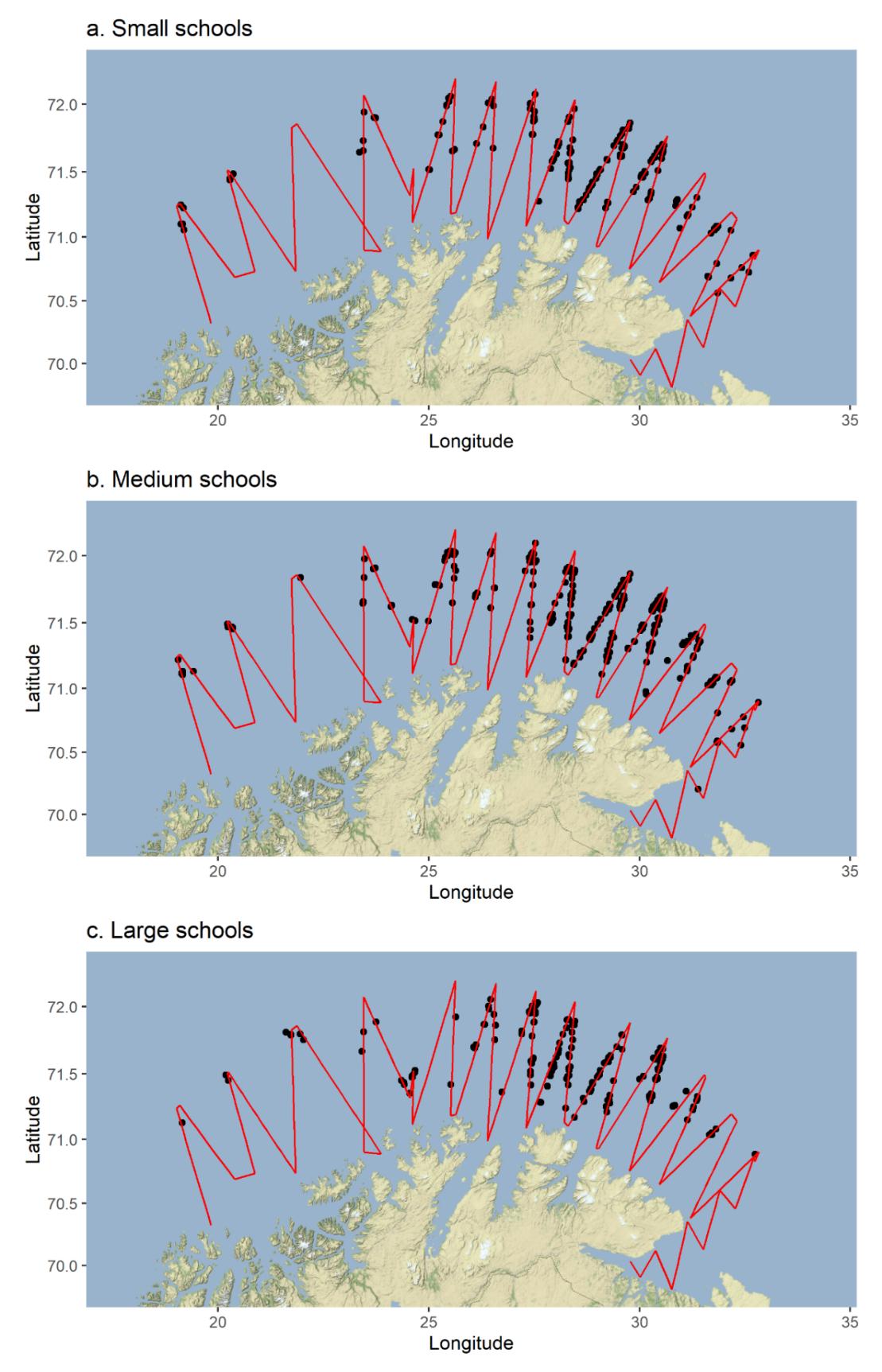 Figure A3. Schools detected with sonar split into small, medium and large schools. Red lines are the transect lines.