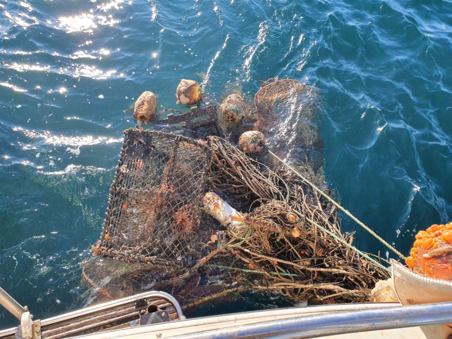 Bilde: Tapte fiskeredskaper som ble funnet i en ansamling på havbunnen.
