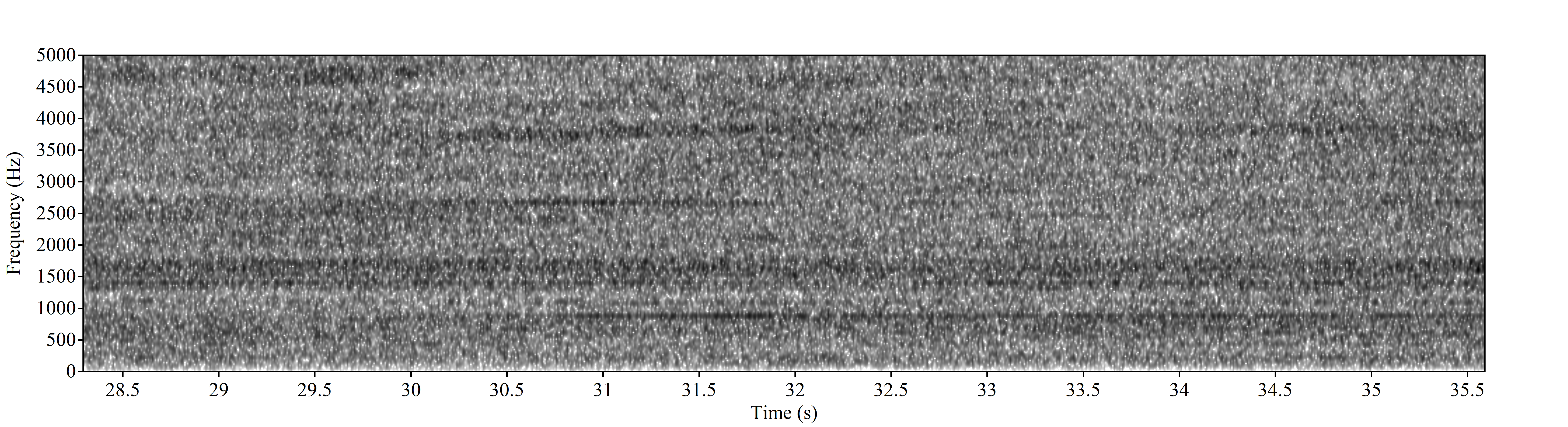 Figure 9. Spectrogram from a representative 10s recorded with one of the SoundTraps. 