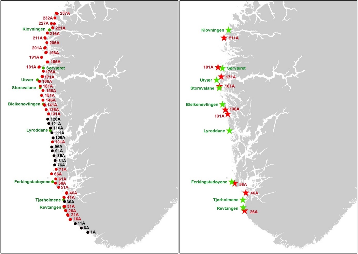 Figur 1. Posisjoner for video/akustikk transekt (venstre kart) og innsamlingsstasjoner (høyre kart) undersøkt i høstefelt med tareuttak etter 2013 (røde markører), høstefelt uten tareuttak etter 2013 (sorte markører) og referanseområder (grønne markører) i Rogaland og Vestland april-mai 2023.