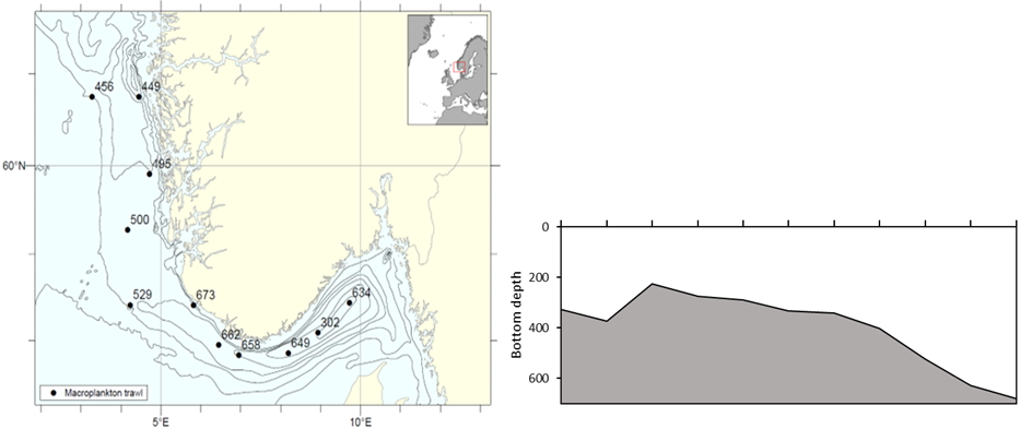 Figure 3. Macroplankton in the Norwegian Trench. a) Stations sampled with the Macroplankton trawl (36 m2, 3 mm mesh, oblique hauls bottom-0m); b) Bottom depth along the transect, ranging from 226 to 680 m.