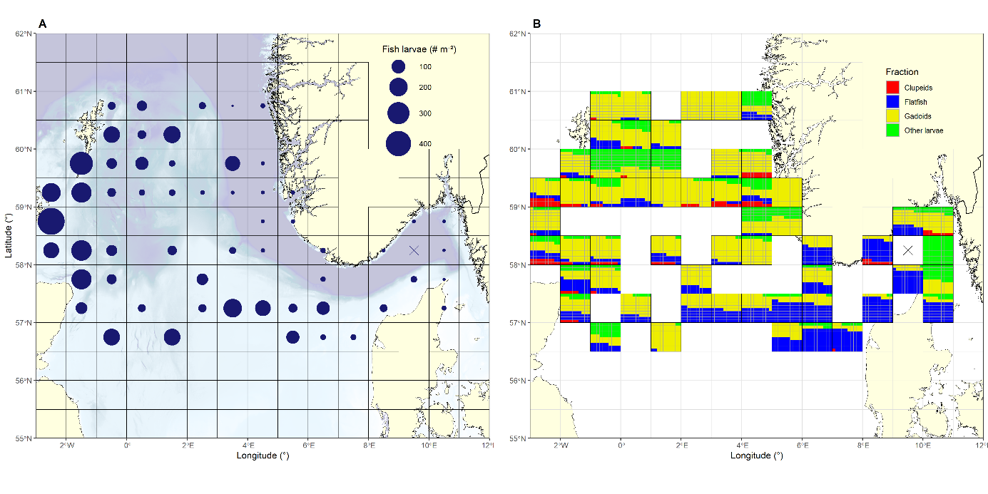 Figure 31: left panel) Total abundance of fish larvae and right panel) proportional composition of the larval assemblage aggregated by ICES rectangles. Gadoids dominated the assemblage and the abundance north of 58°N and in the southwestern part of the survey area. There was a gradual increase of flatfish from west to east, with their proportion in the assemblage peaking around the Fisher banks and the Skagerrak.