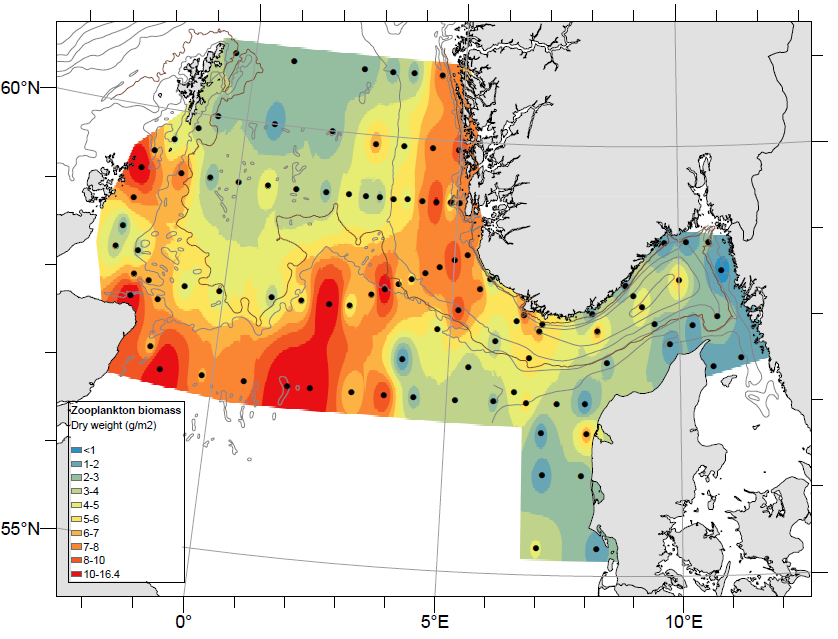 Figure 17. Distribution of total zooplankton biomass (g dry-weight m-2) from near-bottom to surface in the North Sea during the NSEC 2023 (WP2, 180 µm). Interpolation was made in ArcGIS v.10.8.1, module Spatial Analyst, using inverse distance weighting (IDW). 