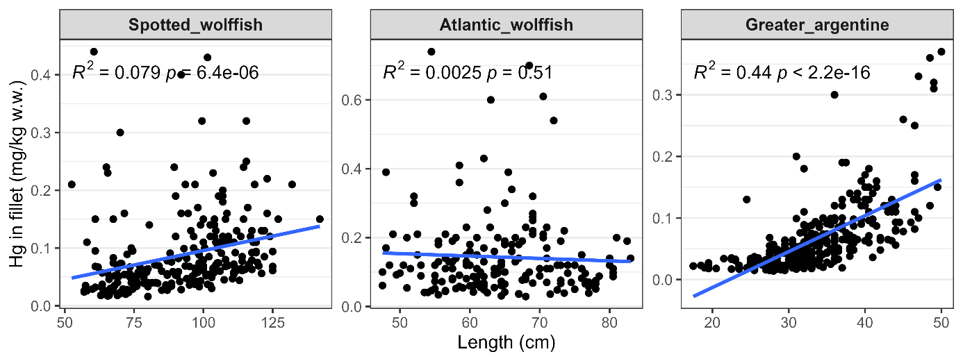 Figur som viser kvikksølvkonsentrasjonen i muskel av fiskene mot fiskelengde og trendlinjer.