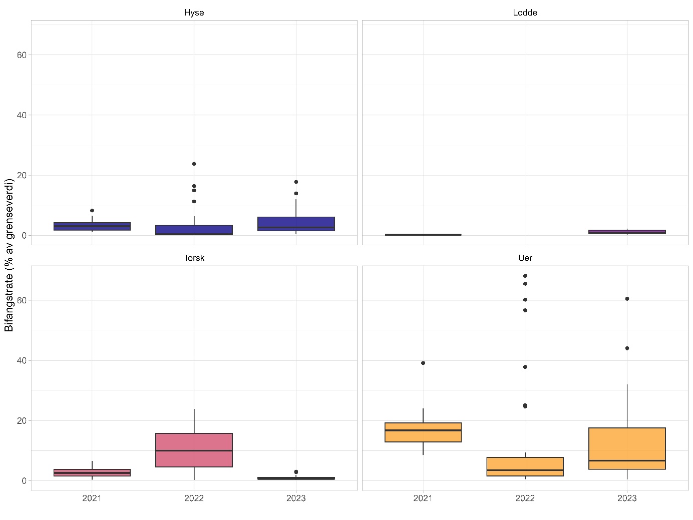 Figuren viser fire boksplott over bifangstraten per år (2021, 2022 og 2023) langs X-aksene, med data for Hyse øverst til venstre (mørk blå farge), Lodde øverst til høyre (lilla), Torsk nederst til venstre (rosa) og Uer nederst til høyre (oransje). Y-aksene viser Bifangstrate (% av grenseverdier fastsatt av Fiskeridirektoratet) og går fra 0 til 70 %. Bifangsten av torske-, hyse- og ueryngel lå alle langt under grenseverdiene for alle de tre årene, det samme gjorde antall lodde  i rekefangstene