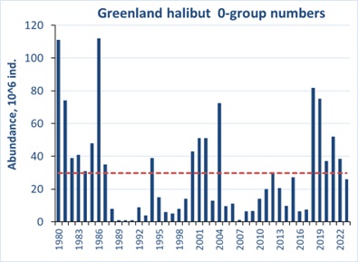 Figure 6.8.2. 0-group Greenland halibut abundance estimates were not corrected for capture efficiency for the period 1980-2023. Red line shows the long-term average.