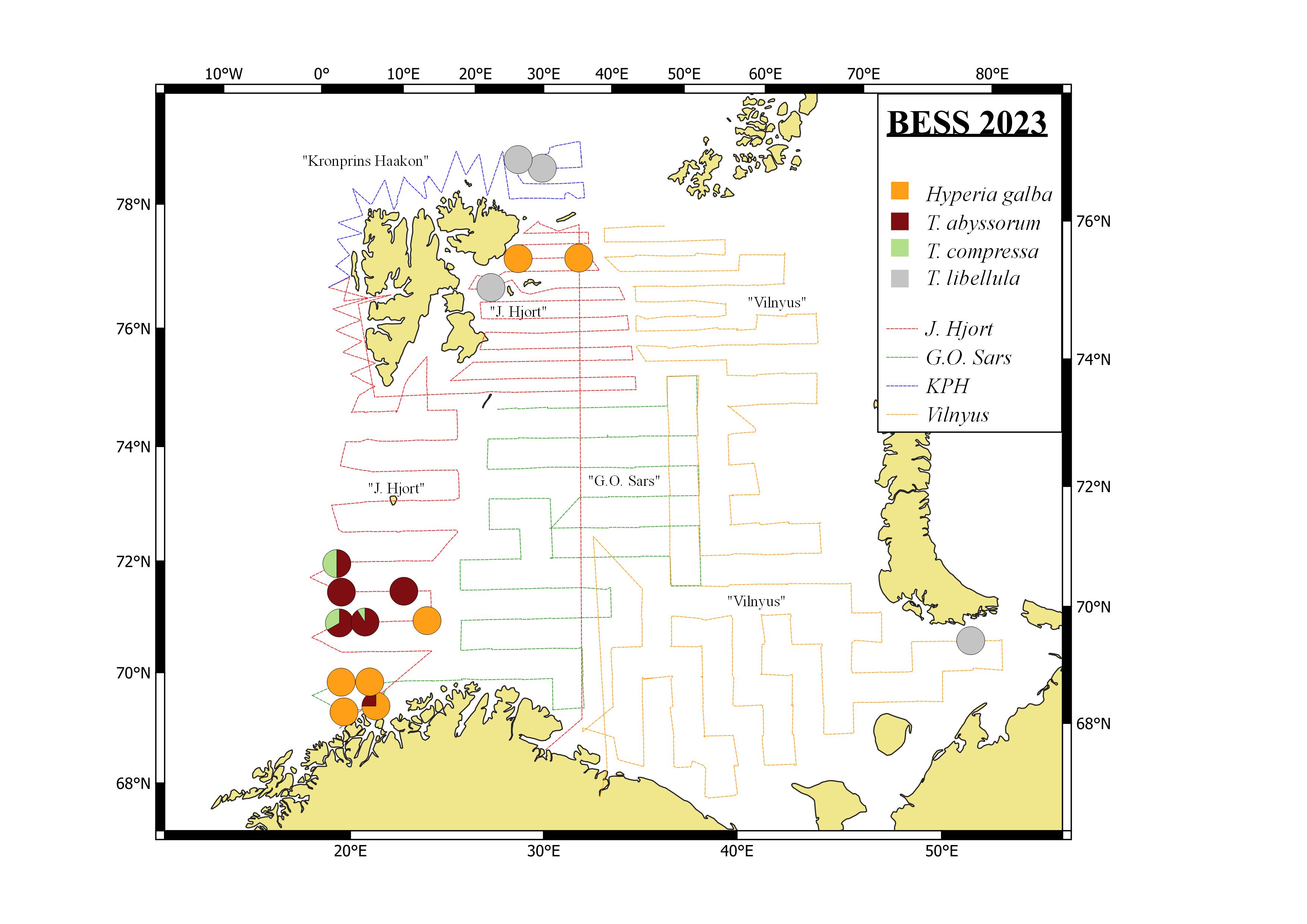 Figure 5.3.2.2. Distribution of pelagic amphipod species, based on pelagic trawl catches covering 0-60m, in the Barents Sea in August-October 2023.