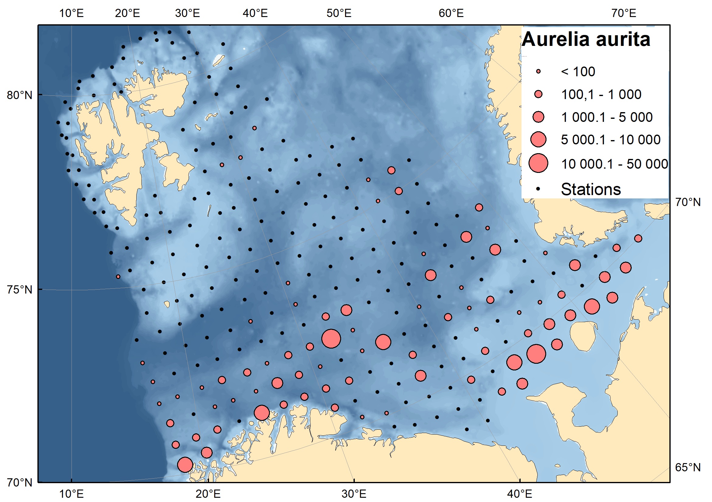 Figure 5.3.3.2. Distribution of Aurelia aurita in the surveyed area in August-October 2023. 
