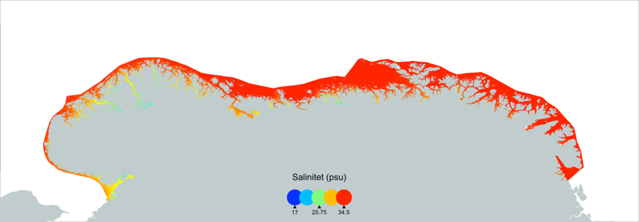 Farger viser modellert gjennomsnittlig saltholdighet i 0-10 m dyp. Blå og grønt indikerer brakkvann, mens rødt er salt.