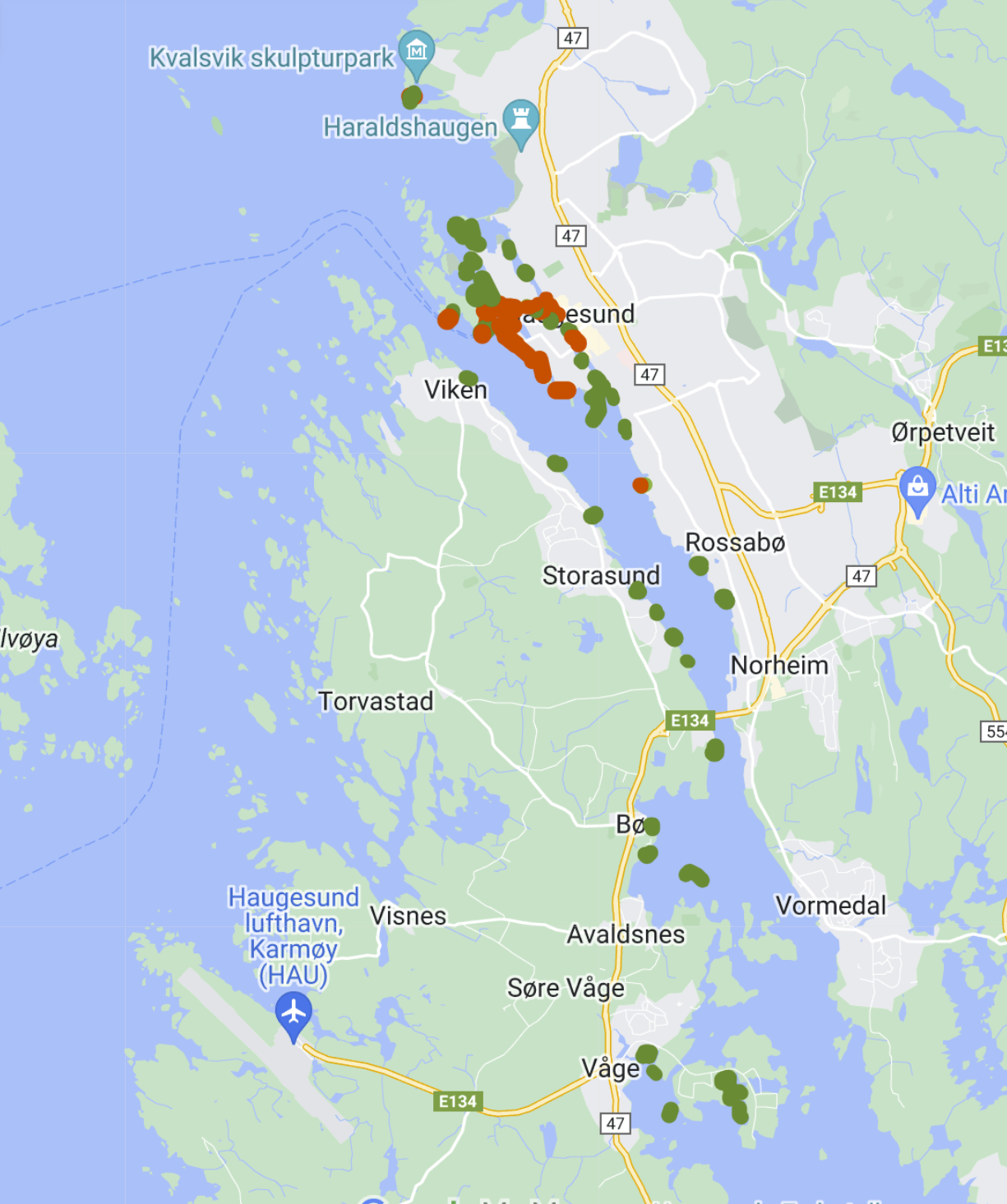 Dette er et oversiktskart som viser videotransekter som er undersøkt for havnespy i Haugesund og Kamrøy kommune