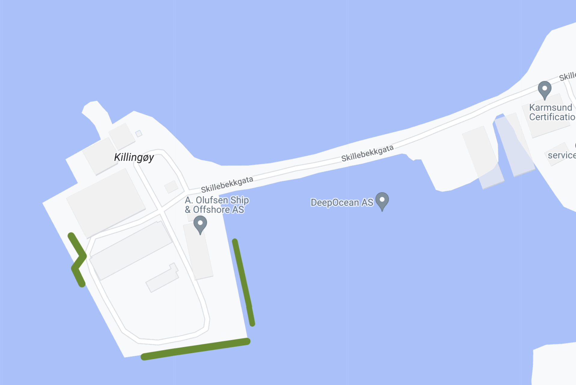 Dette bildet viser transekter kjørt på Killingøy uten funn av havnespy