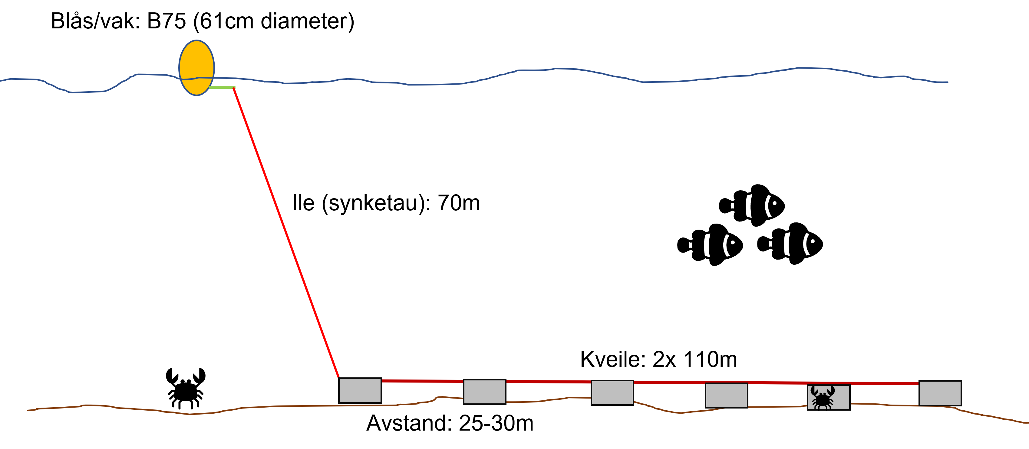 Oppsett av lenker med taskekrabbeteiner brukt i under krabbetoktet i Troms. Seks sorte polyetylen teiner ble satt i lenker med 25-30 meter mellom hver teine. 